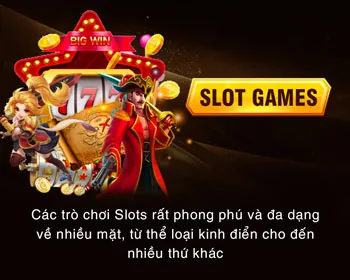 Nền tảng Đá Gà Thôm uy tín